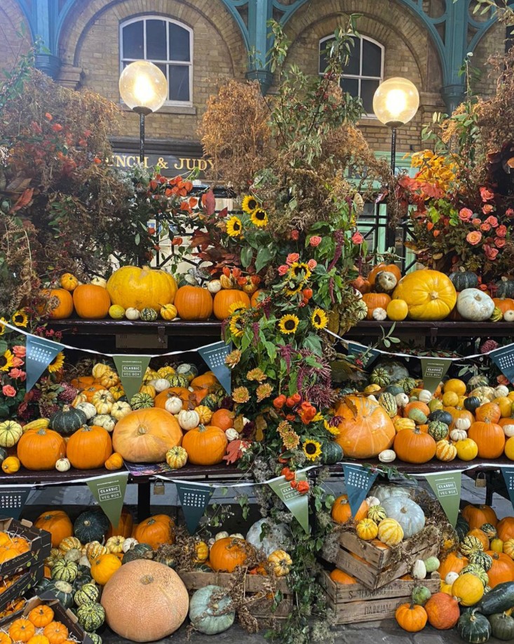 Una colorata esposizione di zucche e decorazioni autunnali a Covent Garden Londra, con fiori, foglie e luci decorative.