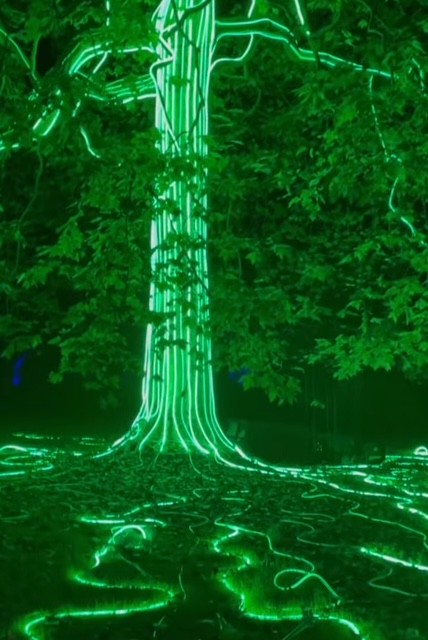 Albero illuminato con luci verdi, creando un'atmosfera magica e suggestiva, circondato da foglie e terreno scuro a Kew garden Londra