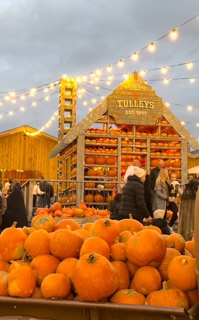 Mercato di zucche con una struttura di legno, illuminato da luci sospese, e visitatori che esplorano l'area.