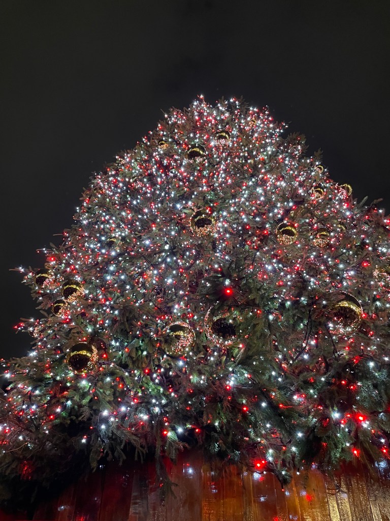 Un albero di Natale decorato con luci scintillanti rosse e bianche, con ornamenti dorati, illuminato nel buio della notte.