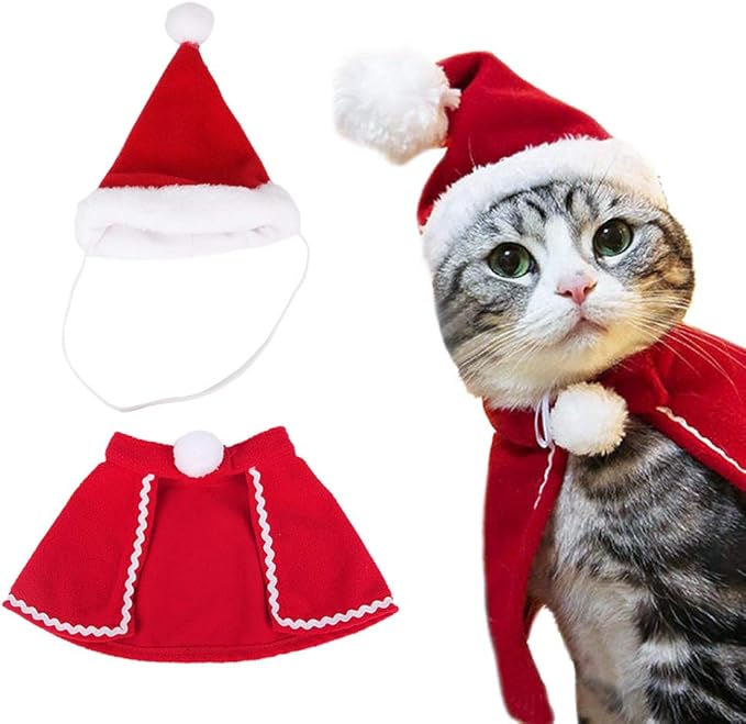 Un gatto indossa un costume natalizio con cappello rosso e mantello rosso, decorato con pompon bianchi.