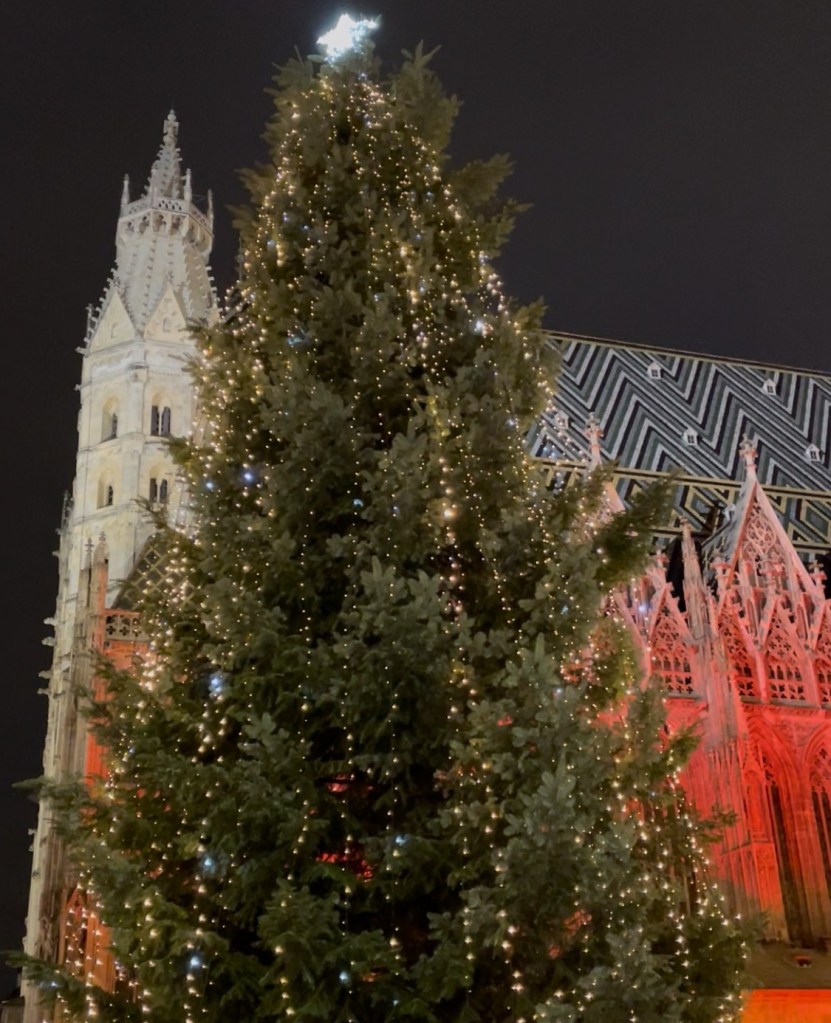 Albero di Natale illuminato davanti alla cattedrale di Santo Stefano a Vienna  in un ambiente notturno.