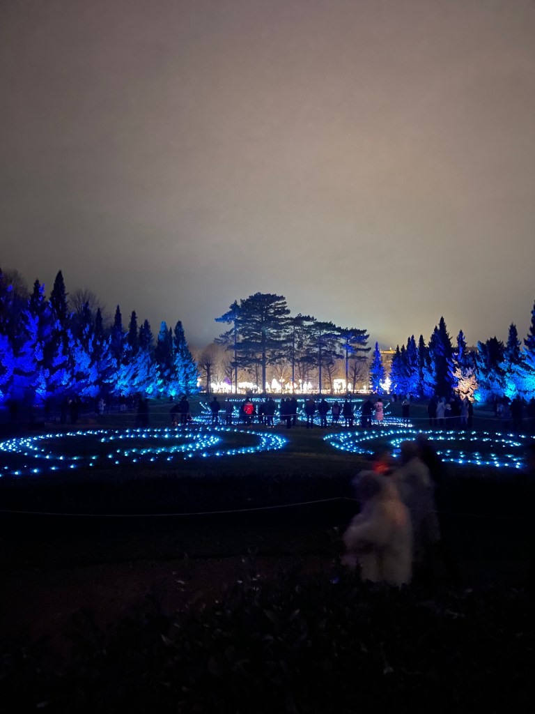 Giardini di Schloss Schonbrunn a Vienna  illuminati con decorazioni natalizie blu, con passeggiatori e alberi sullo sfondo durante la notte.