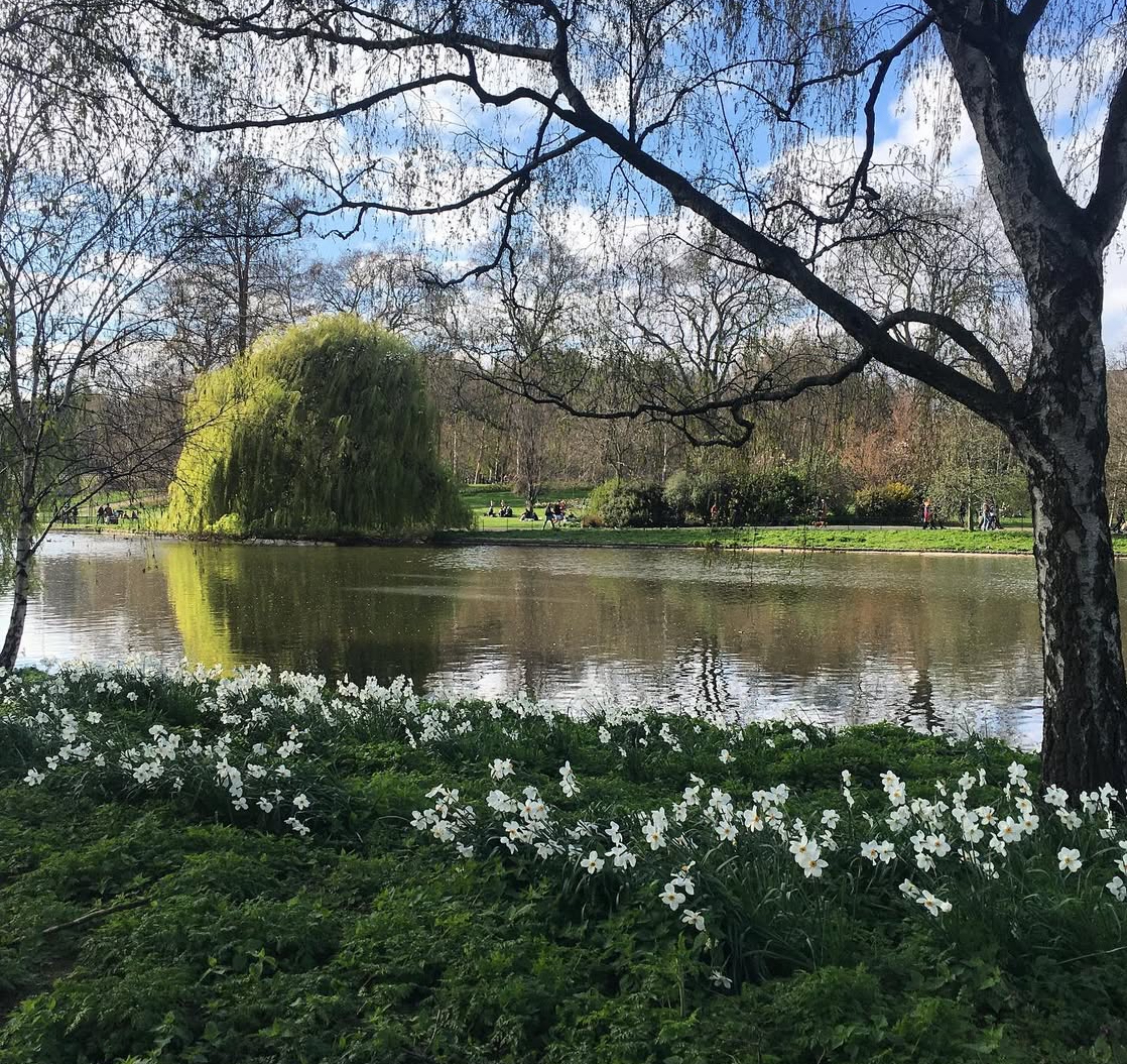 Guida ai Parchi e alle Residenze Storiche di Londra