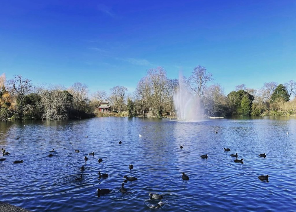 Vista di un lago del Victoria Park con una fontana al centro circondata da alberi e anatre che nuotano.
